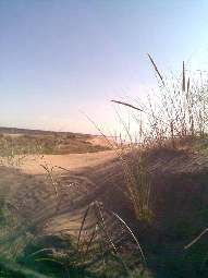 Les dunes de Le-Grand-Village-Plage